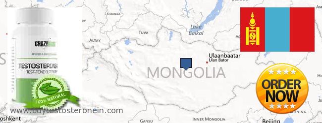 Dónde comprar Testosterone en linea Mongolia